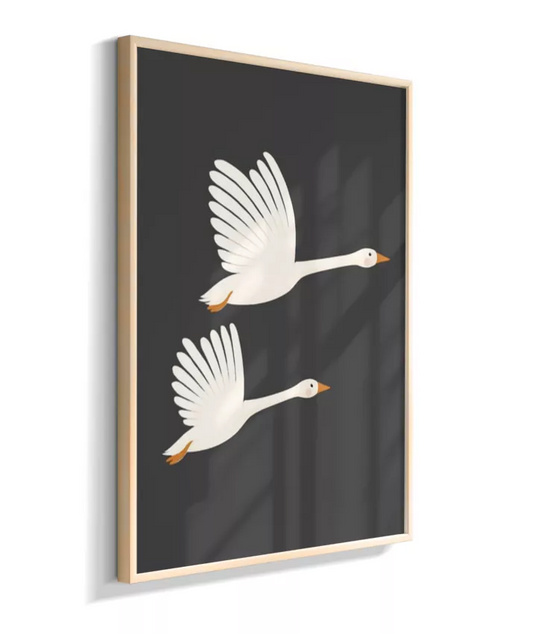 Gansas voando (fundo preto)