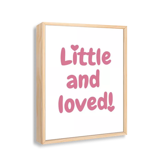 Little and loved! (branco e rosa)